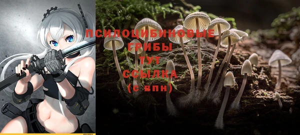 твердый Наволоки