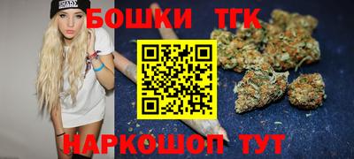 гашик Гусь-Хрустальный