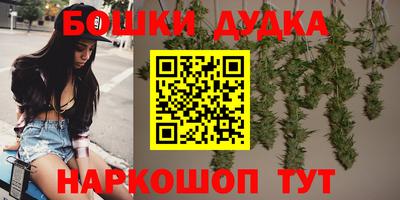 гашик Гусь-Хрустальный