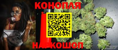 гашик Гусь-Хрустальный