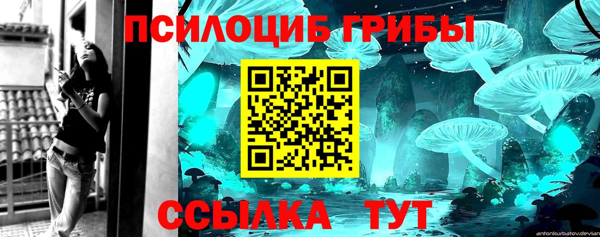 Гашиш  Лсд 25  Новозыбков  Вход с VPN  ЭКСТАЗИ  МЕФ  