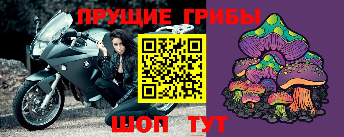 Новозыбков  Псилоцибиновые грибы ЛСД  Вход с VPN  Псилоцибиновые грибы Psilocybine cubensis 