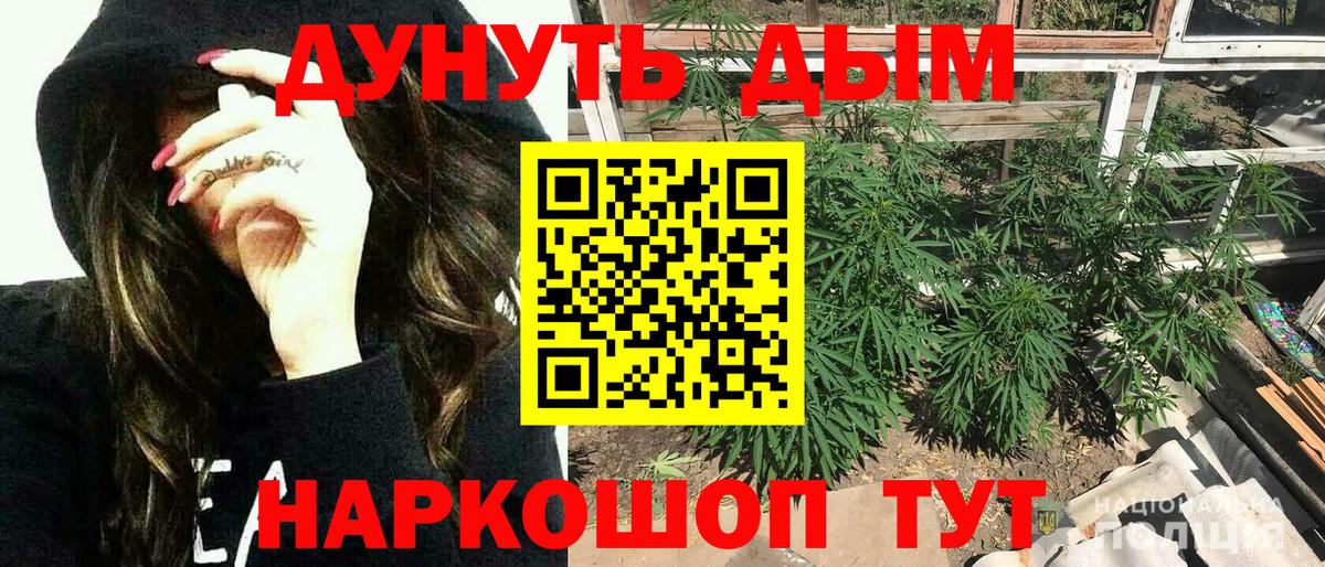 Бошки Шишки гибрид Новозыбков