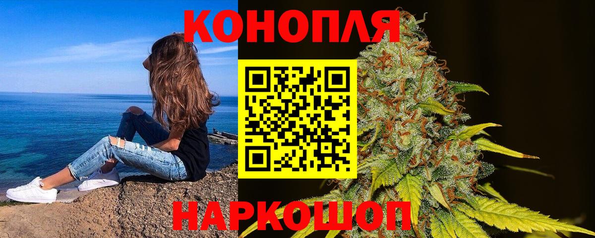 Новозыбков  Каннабис Amnesia  Бошки марихуана OG Kush  Вход с VPN 
